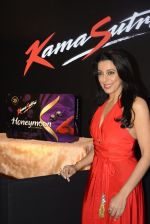 Pooja Bedi during the launch of KamaSutra Honeymoon Surprise Pack on 21st Oct 2016